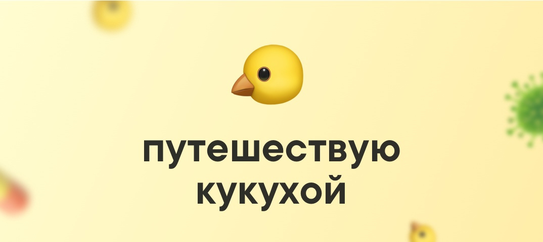 Загадка про гуся. Кукуха поехала мем. Береги свою кукуху. Кукуха смешное. Моя кукуха мем.