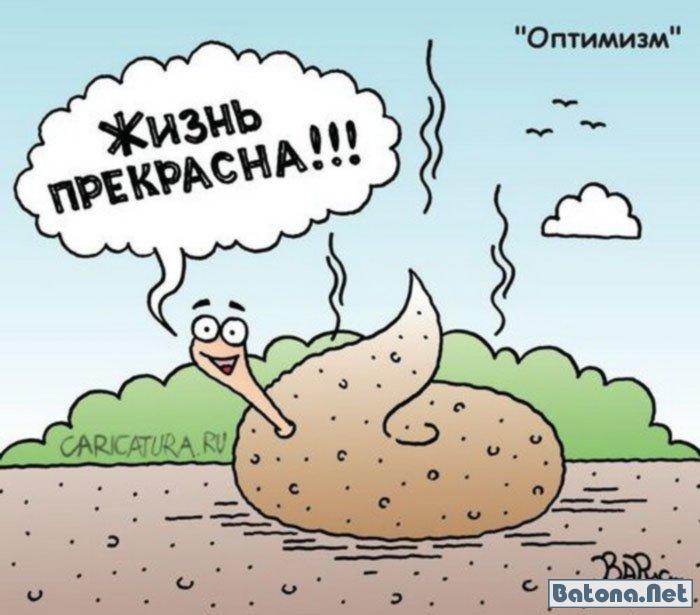 День оптимиста картинки прикольные смешные. Оптимизм карикатура. Оптимистичные рисунки. Веселые карикатуры. Оптимизм юмор.