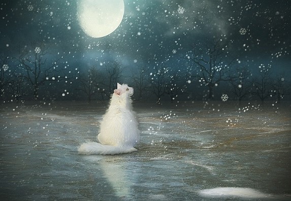 Белый снег метёт, метёт