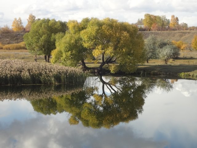 Открылся мир