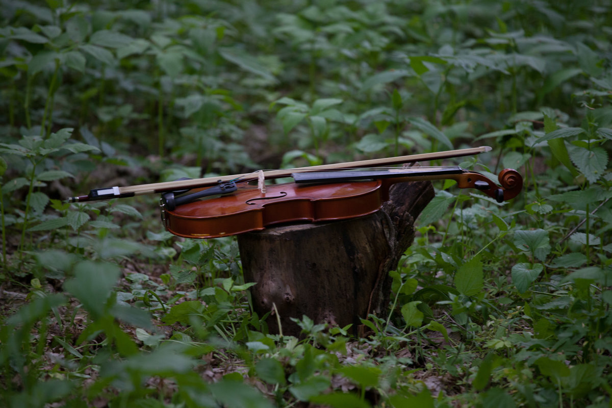 Я устал от войны