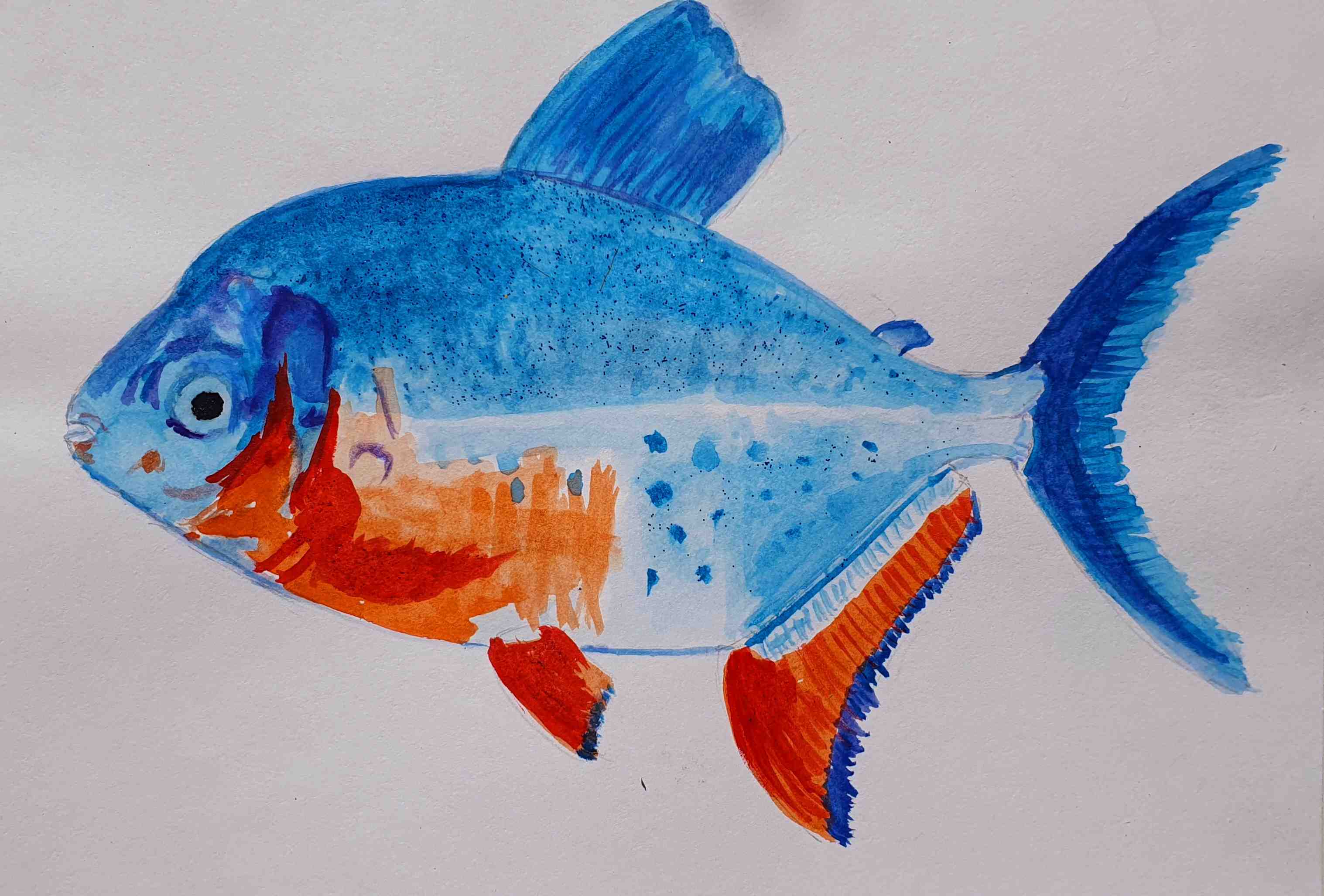 Паку красный