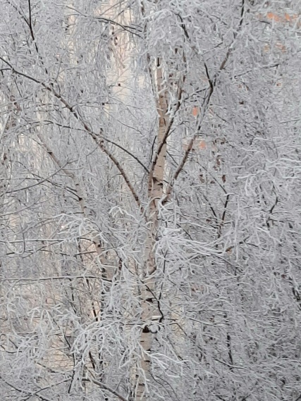 Как красиво в России зимой