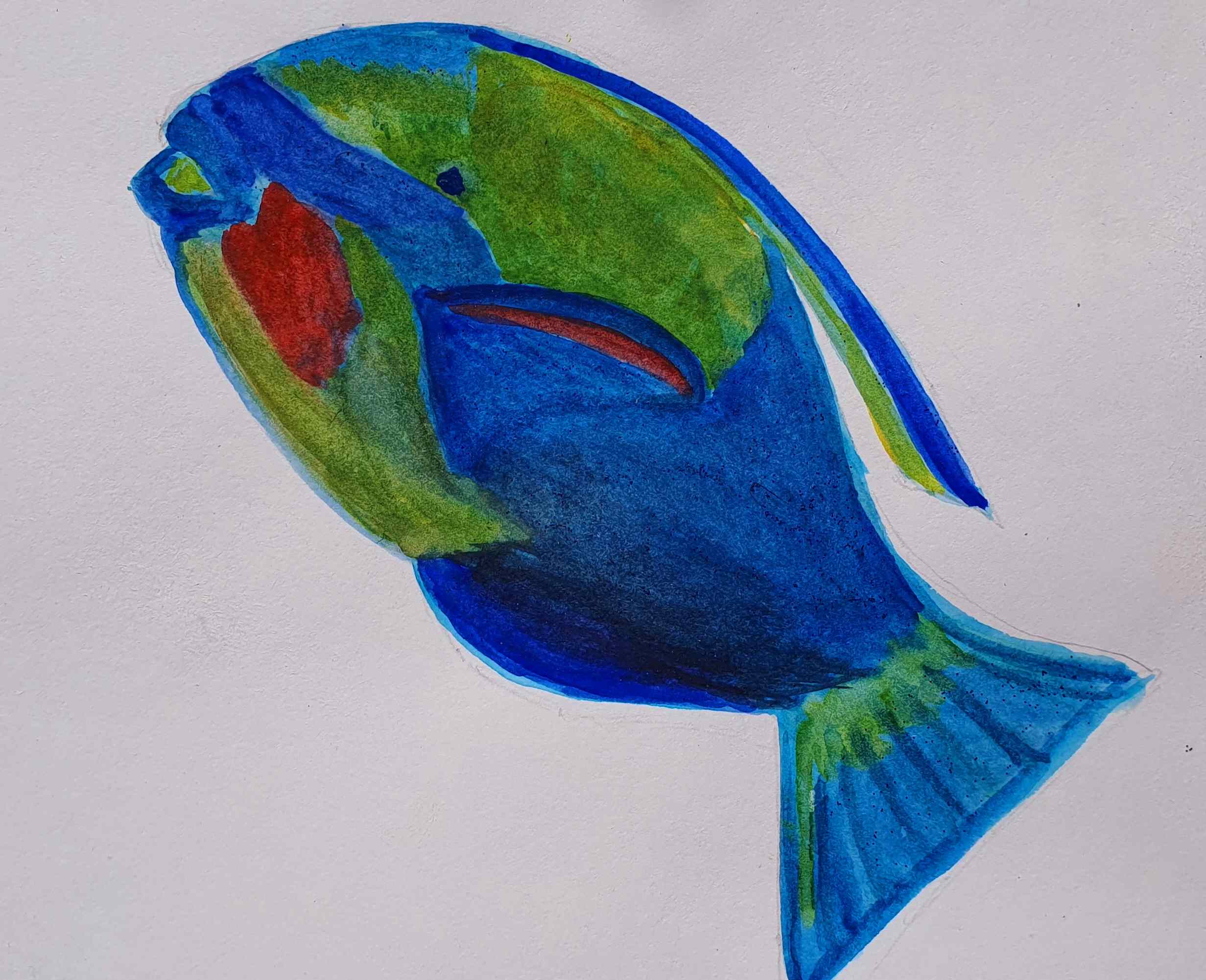 Рыба-попугай, ч. 578.