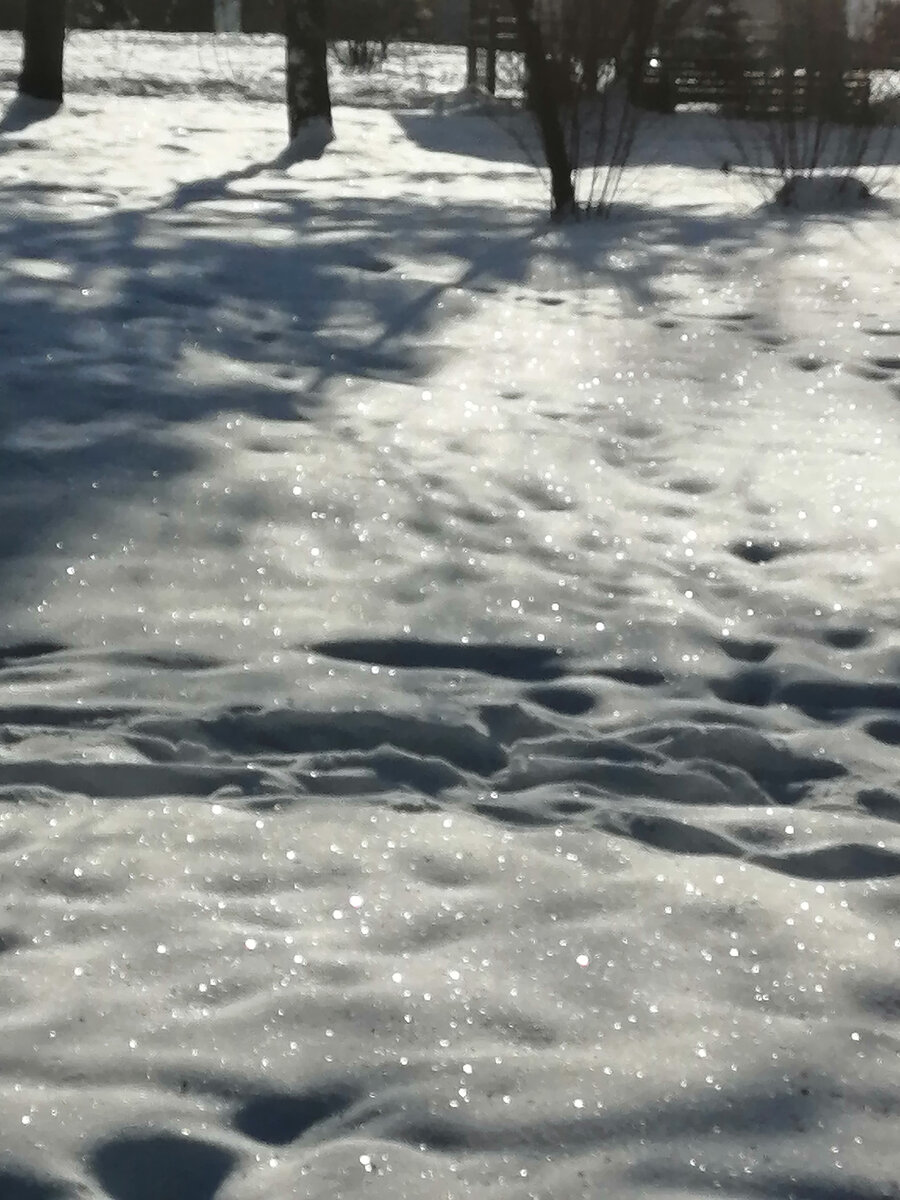 День январский