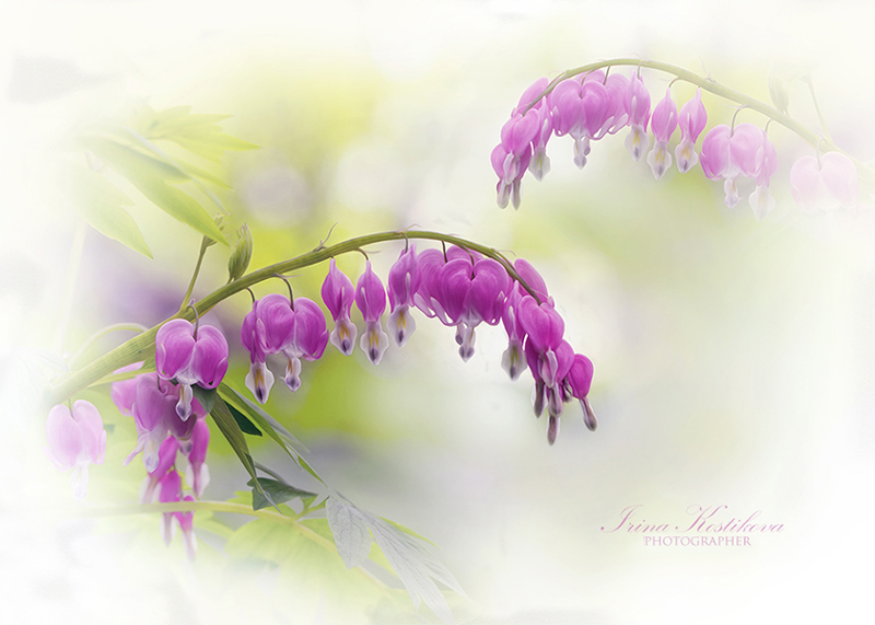 Спасибо, Бог, за дождь и снег