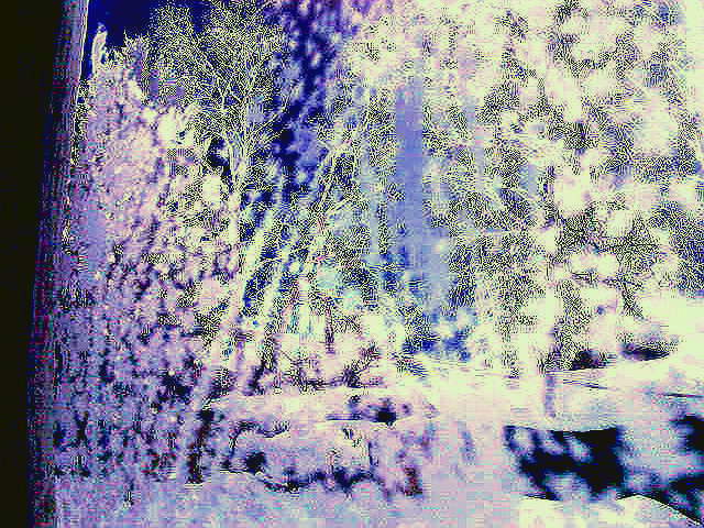 Заблудилась в поле роща