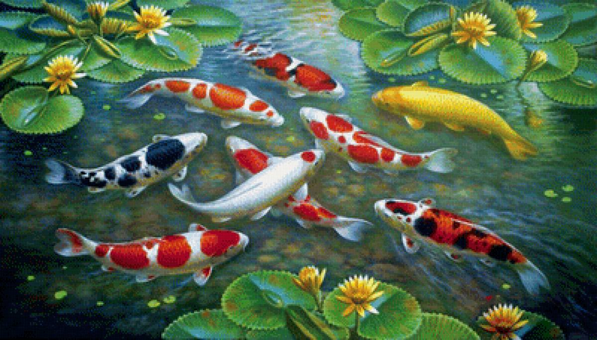 Карп кои большой. Рыбки кои инь янь. Алмазная вышивка карпы кои. Для чего нужны духовные карпы. Для чего нужны духовные карпы.