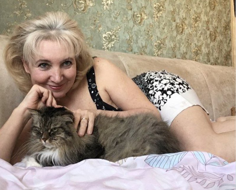 Серый кот. Посвящение С. Т. 14019