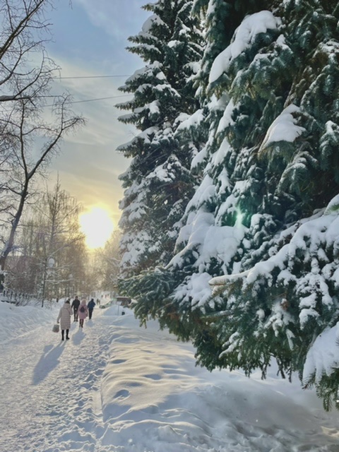 Мы любим зиму искренней любовью