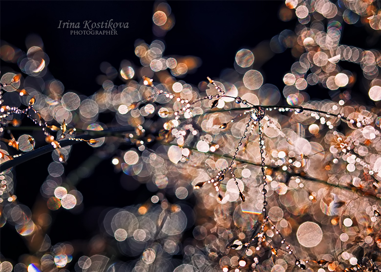 Волшебные капельки...