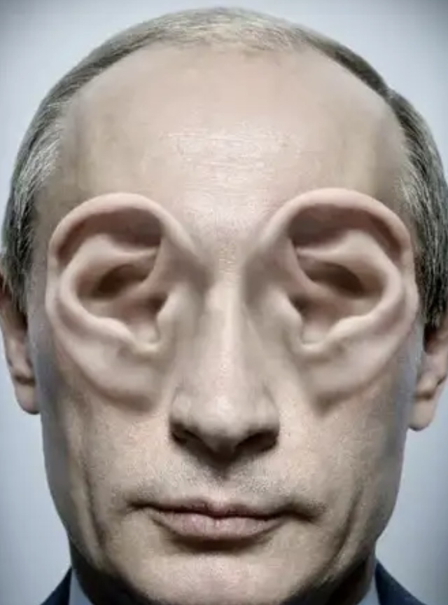 Ушки прикол. Уши кота. Девушки с большими ушами. Ушки прикол. Ушки прикол.