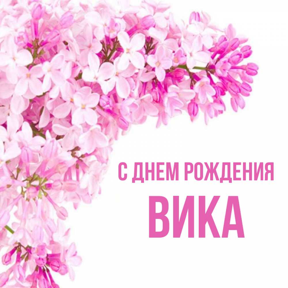 День рождения леры