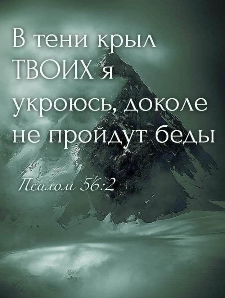 По Псалму 56. В тени крыл я сокроюсь Твоих