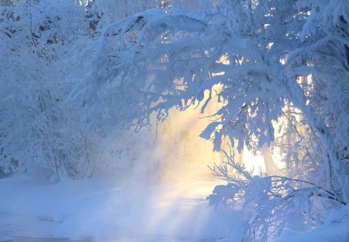 На краю снегопада