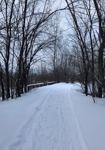 Зимний путь домой