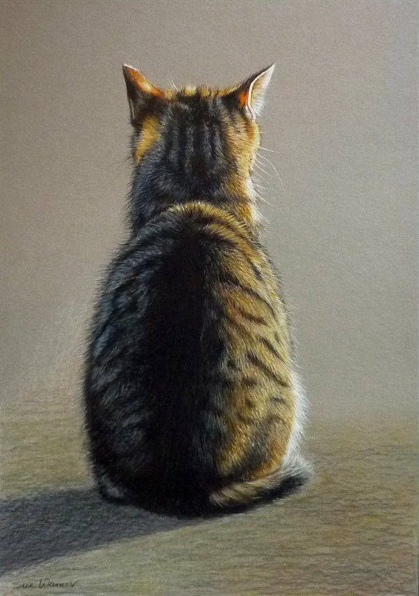 серая кошка