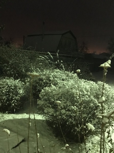 Зимний вечер