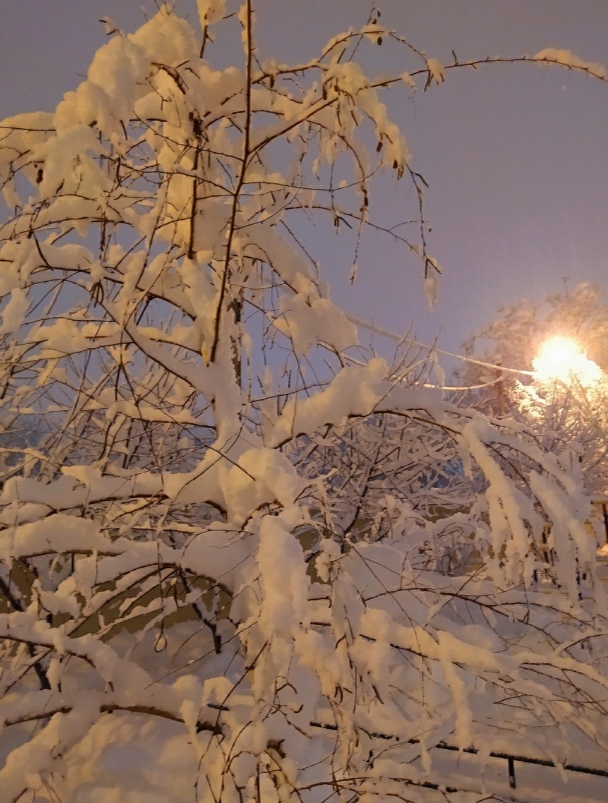 Кутюрье- Снегопад