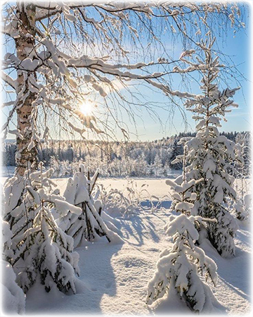 Февраль
