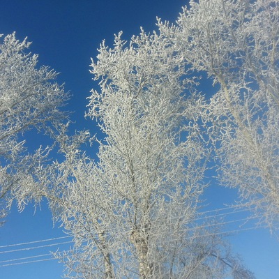 Здравствуй, Февраль!