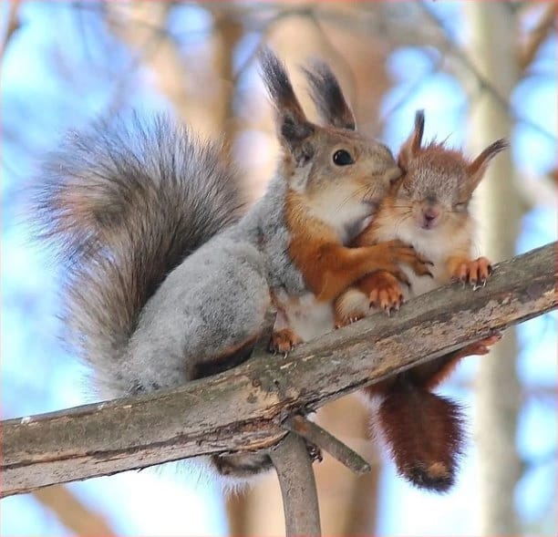 Работа на лайте