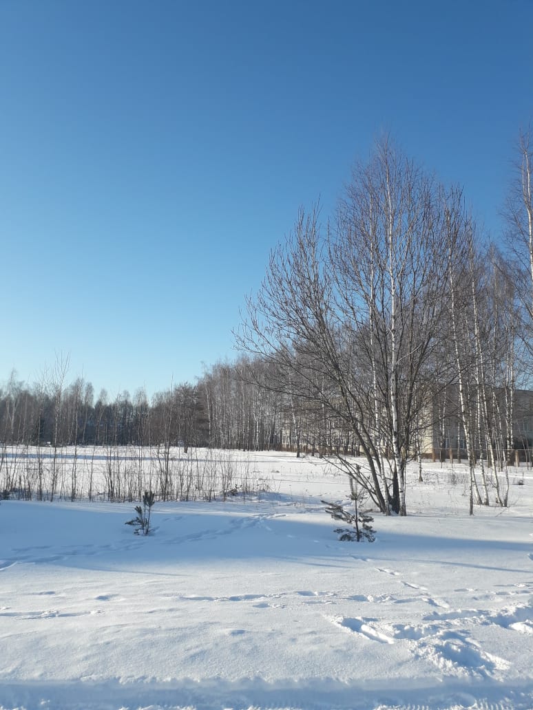 На пробу