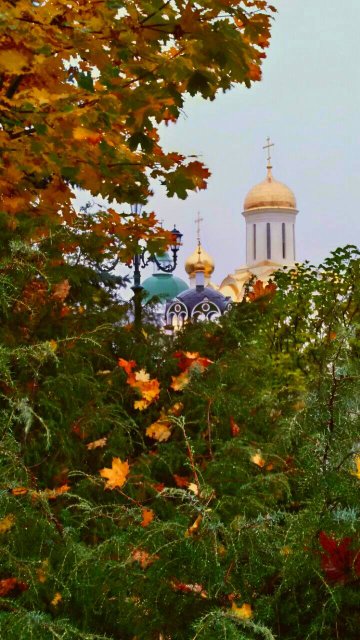 Рождество Богородицы