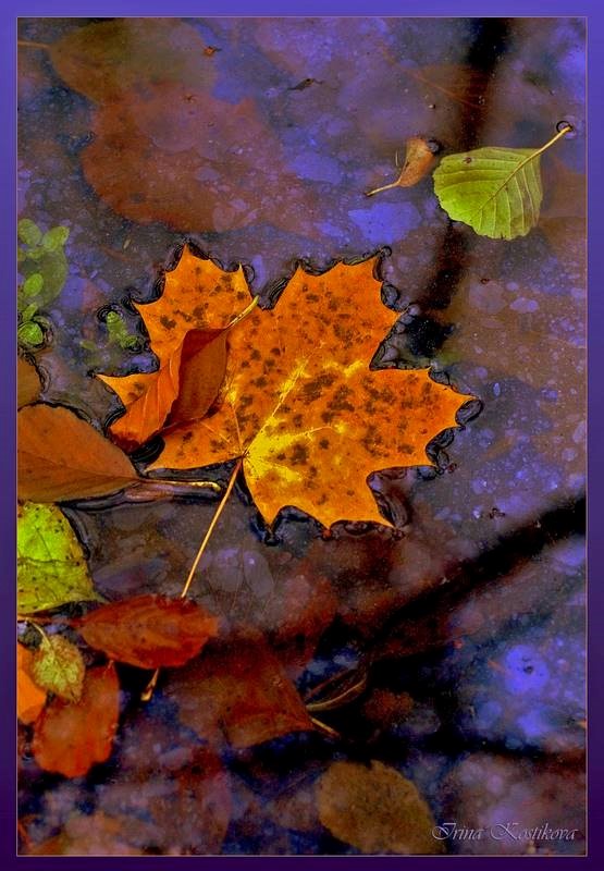 Сказка листик