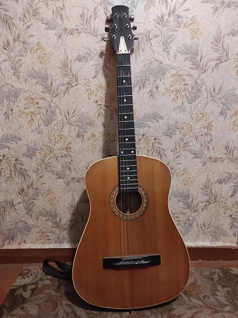 Пусть звучит моя гитара