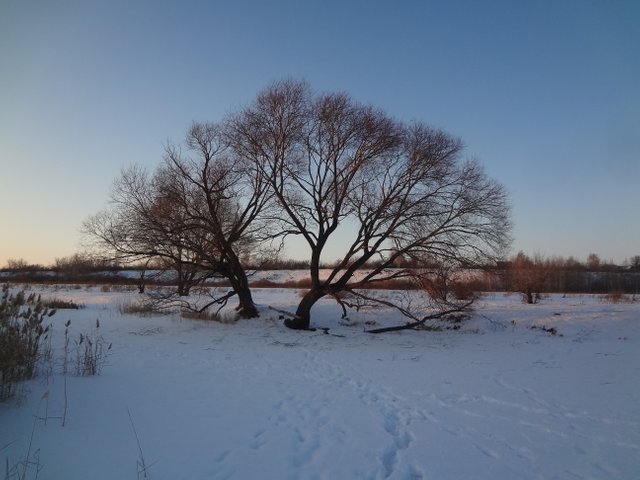 Пока вокруг белеет зимний снег