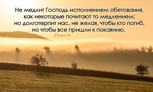 Некоторых людей лучше вовремя потерять. Не как все но как некоторые. Цитаты по настроению. Цитаты про глаза и взгляд. Унизить человека.