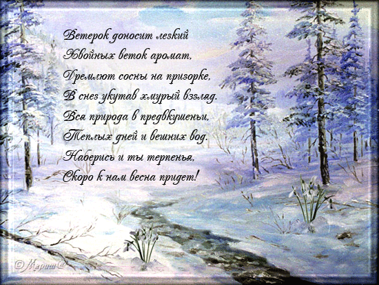 Уже слепит взгляд весны