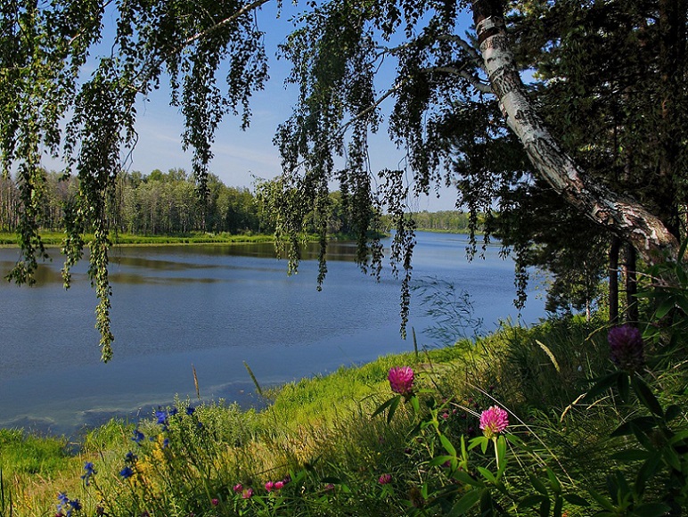 На Руси