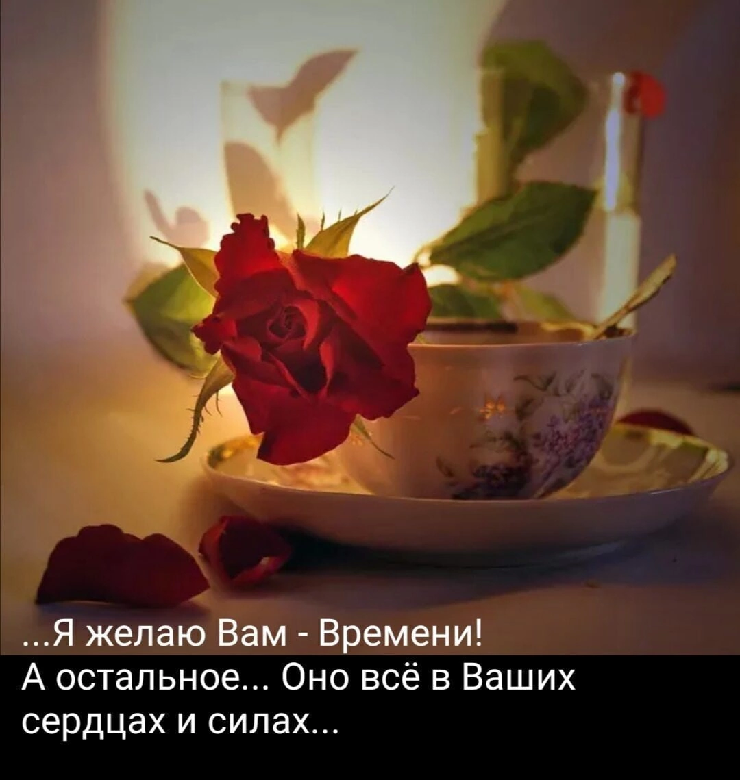 Добрый вечерпонеделника
