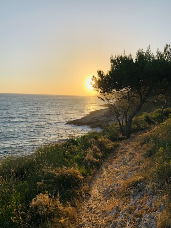 Жить ящерицей в наветренных камнях