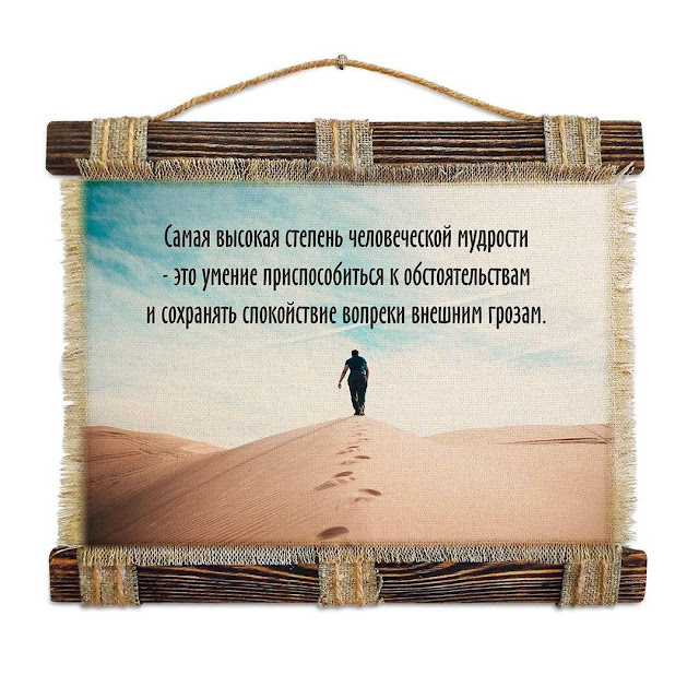 Знания мудрость. Афоризмы мудрых людей. Красивые цитаты. Красивые цитаты. Афоризмы про мудрость.