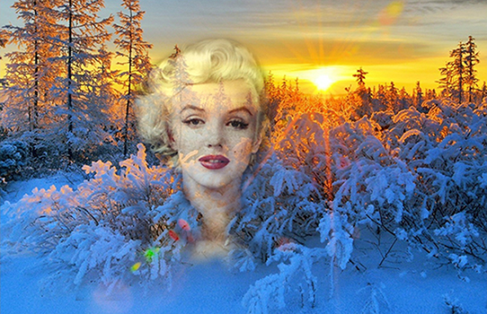 Тепло твоих рук