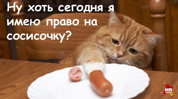 Всё под контролем
