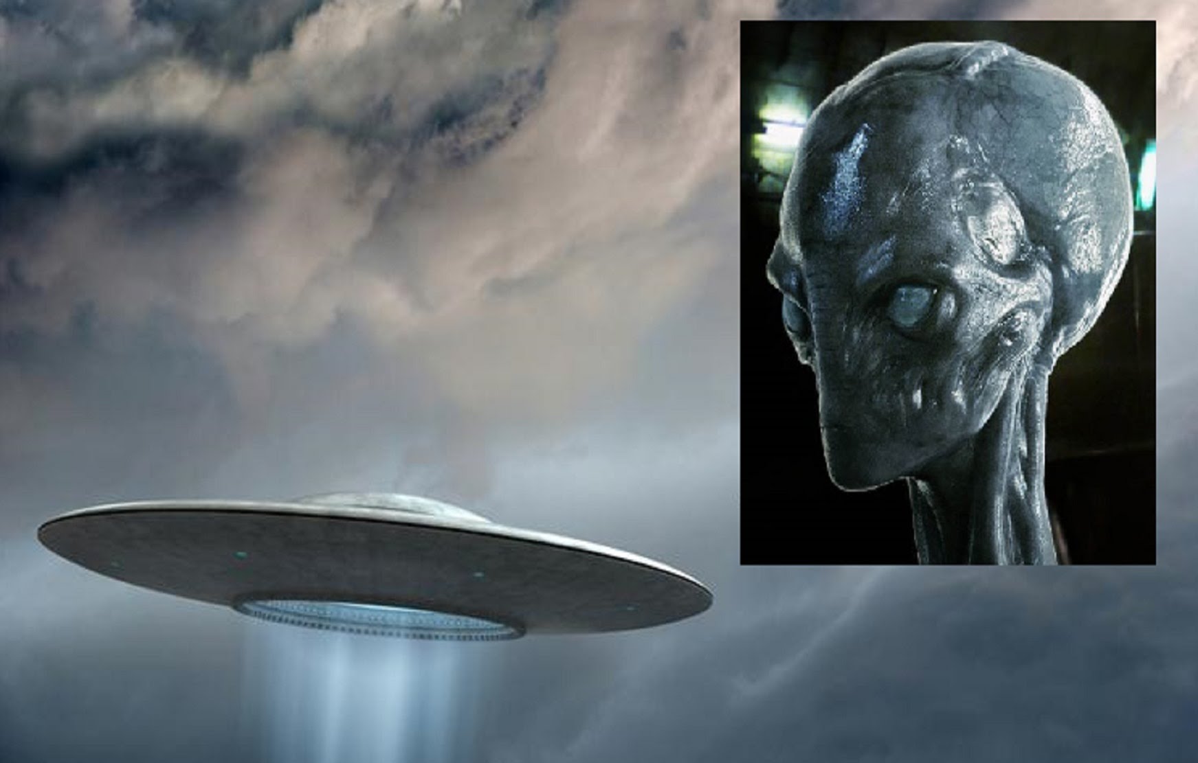 нло. нло фото пришельцев. гендиректор рен тв инопланетянин. настоящий нло. инопланетяне зона 51 сша.