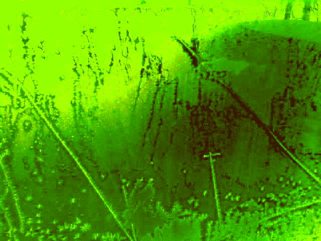 Время рвёт осенний крик