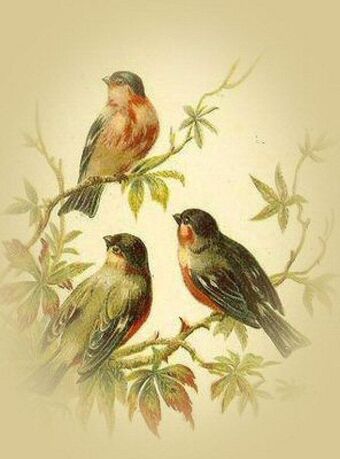 Весна идёт!