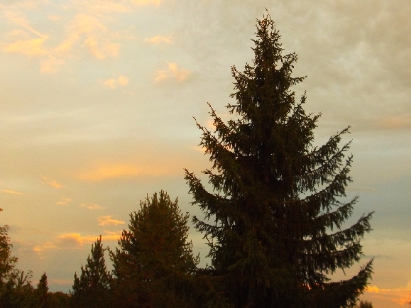 Эта окружность небесных простор...