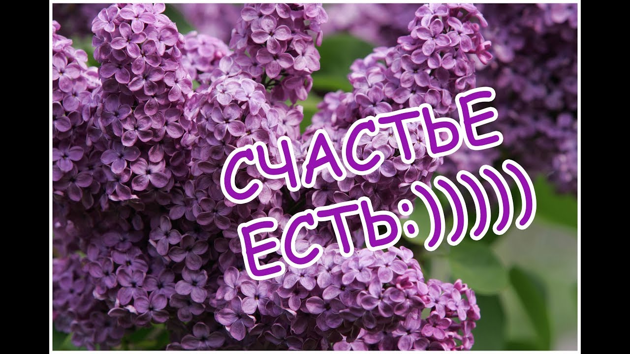 Заглядывая в новый день