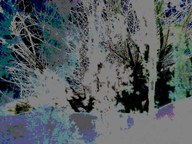 Ветра уходят в тихие луга