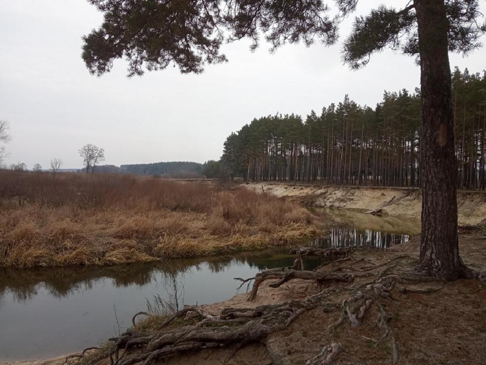 Застывшая жизнь