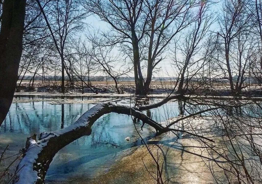 Снегопад в тоцком 2 2022. Апрель с водой май. Снег 2 апреля. Мероприятия в библиотеке на апрель месяц. Апрель 87.