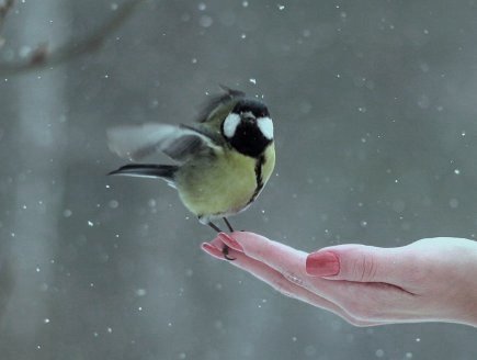 Любовь не ведает страха...