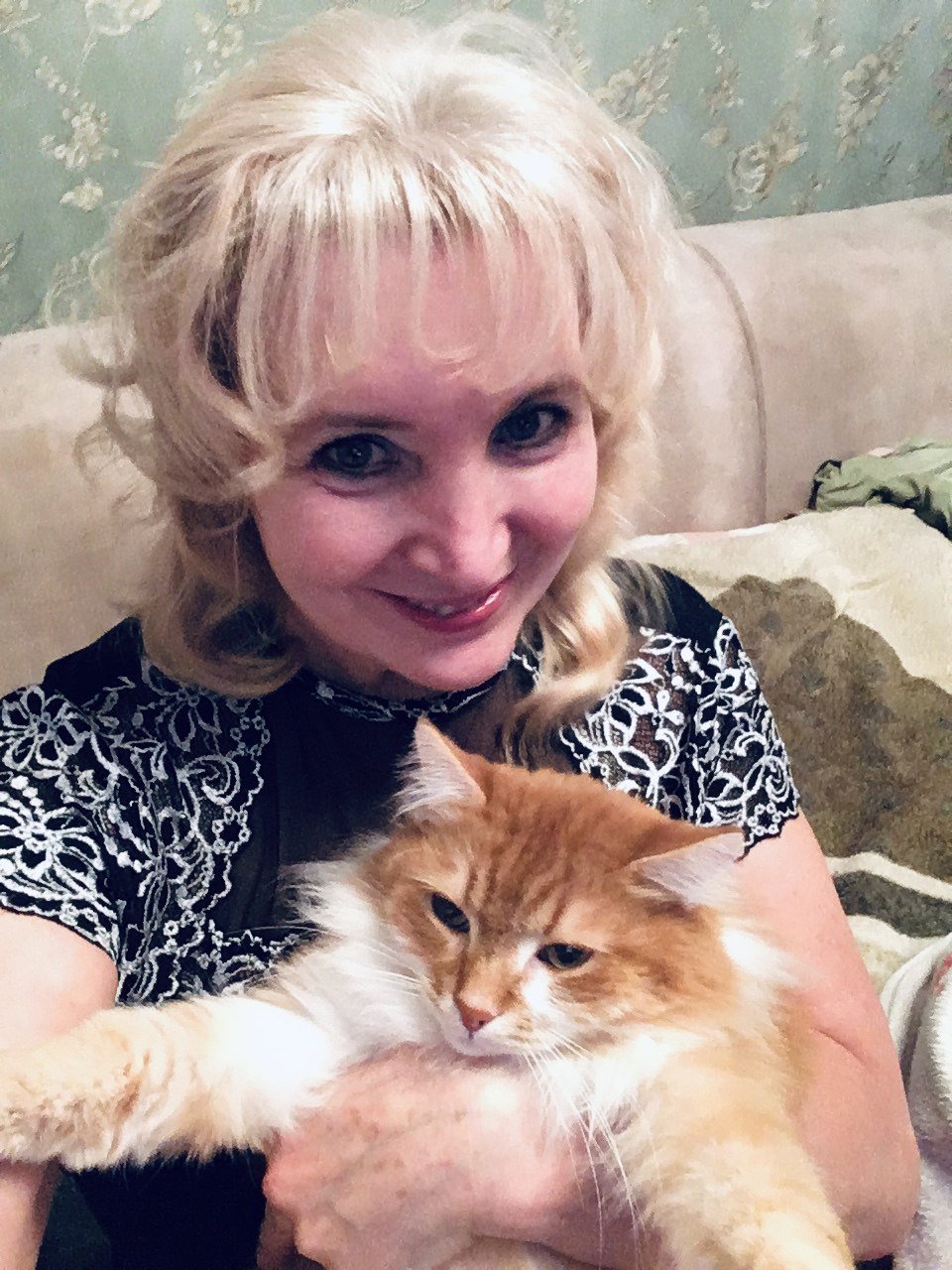 Рыжий кот. Посвящение С. Т. 14211