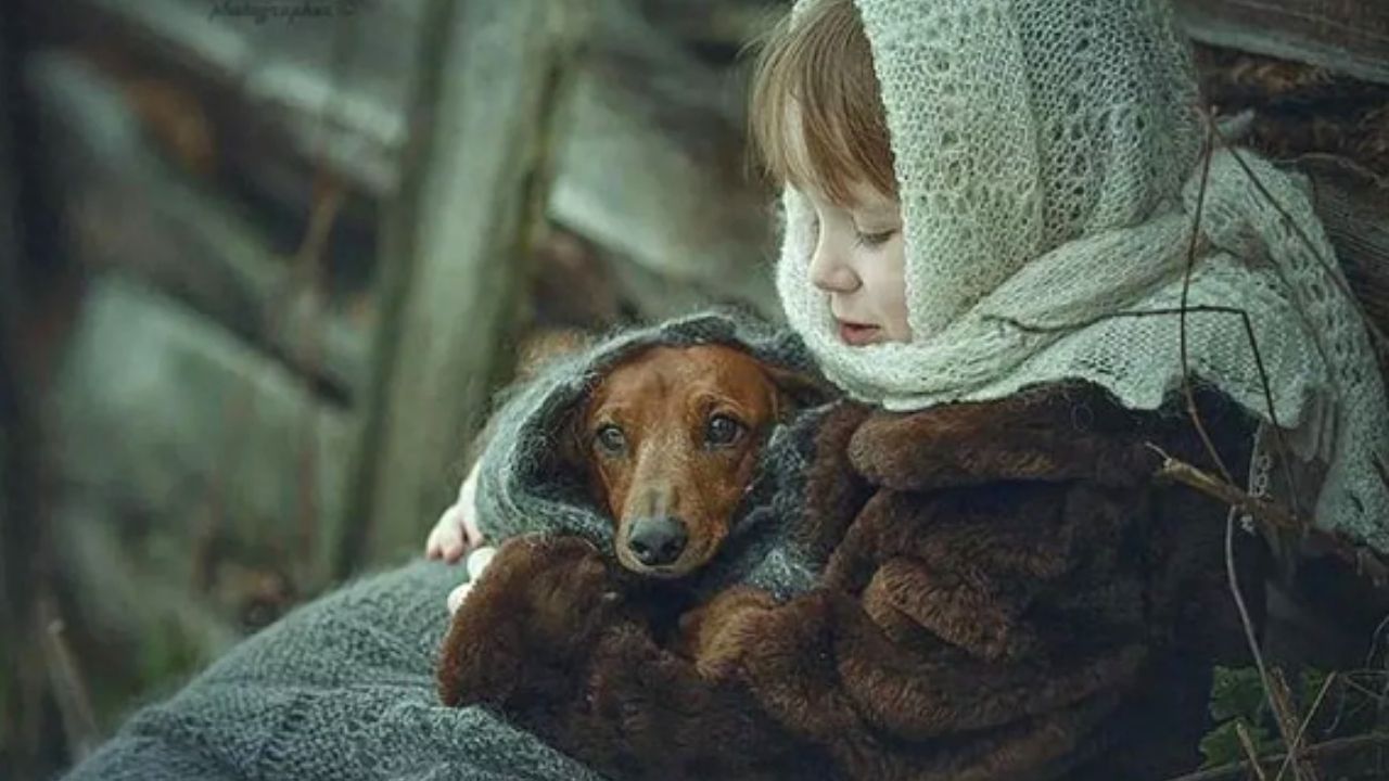 Сочувствие животным. О доброте. Для детей. Животные. Добро к животным. Доброта и сочувствие.